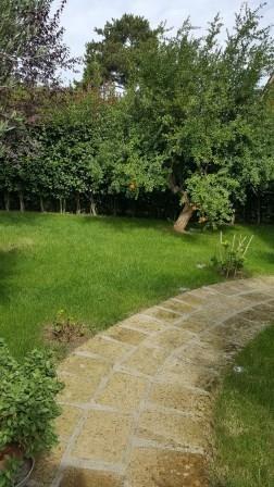 casa indipendente in vendita a Formello in zona Le Rughe