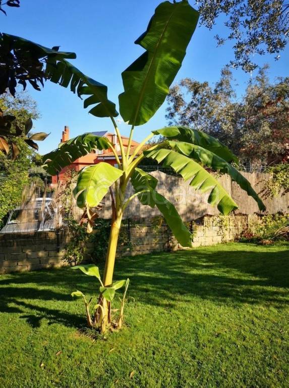 casa indipendente in vendita a Formello in zona Le Rughe