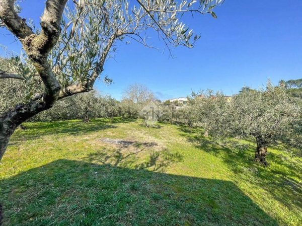 terreno edificabile in vendita a Formello