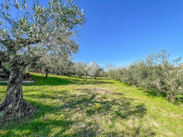 terreno agricolo in vendita a Formello