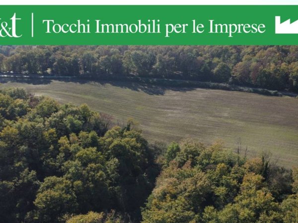 terreno agricolo in vendita a Formello