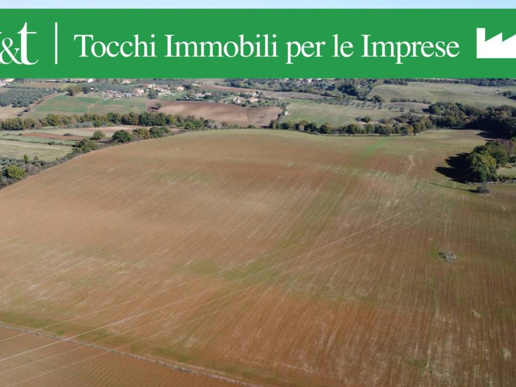 terreno agricolo in vendita a Formello