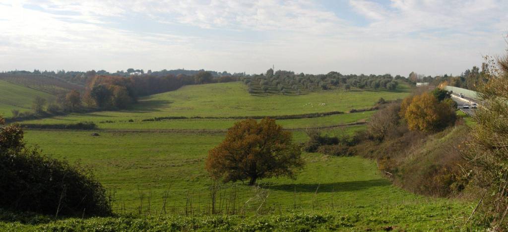 terreno agricolo in vendita a Formello