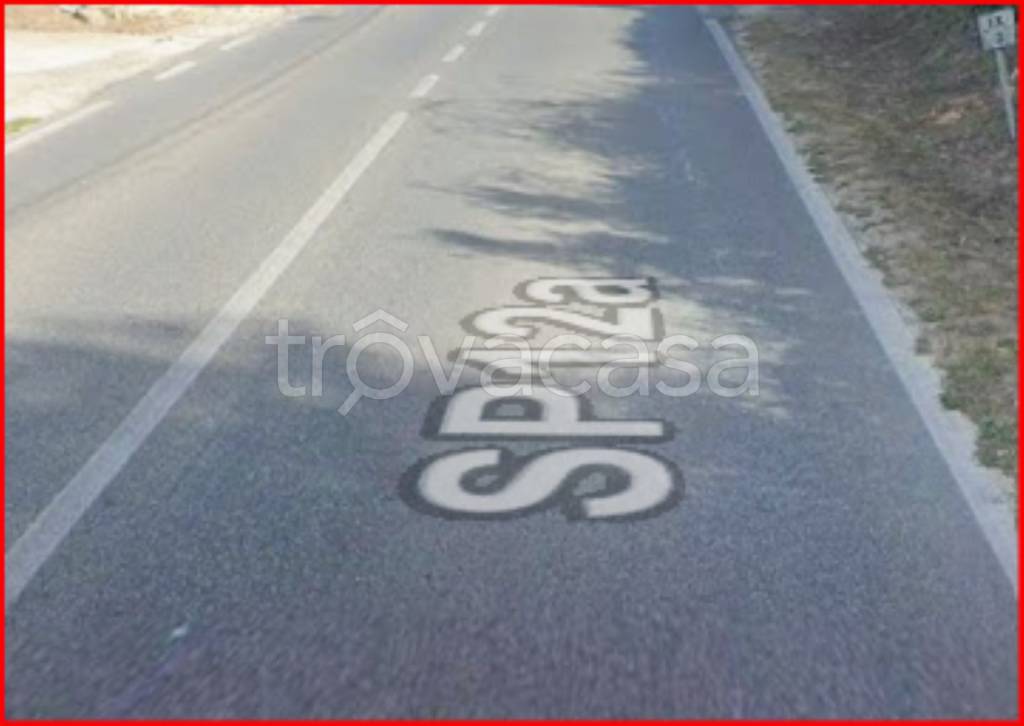 immagine annuncio 0 di 12