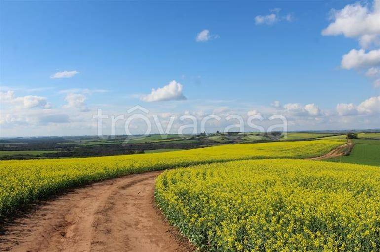 casa indipendente in vendita a Formello