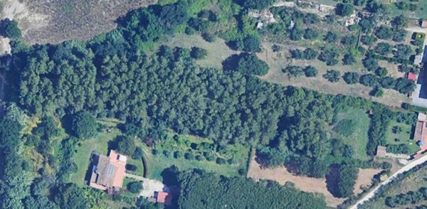 terreno agricolo in vendita a Formello