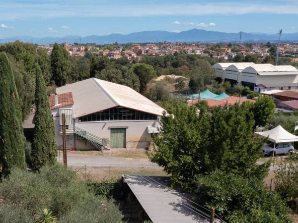 negozio in vendita a Formello