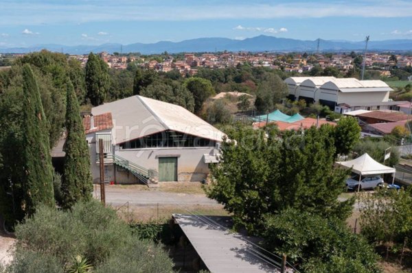 negozio in vendita a Formello