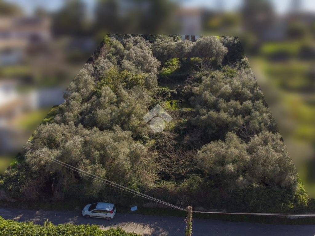 terreno agricolo in vendita a Formello