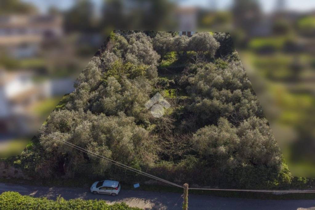 terreno agricolo in vendita a Formello