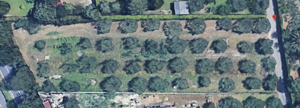 terreno agricolo in vendita a Formello in zona Le Rughe