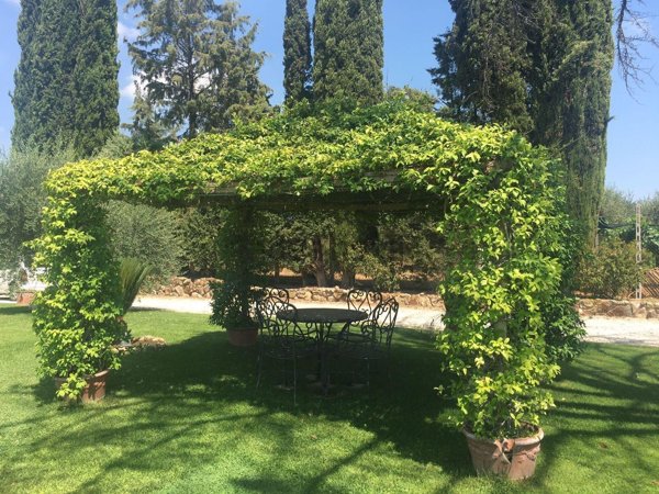 casa indipendente in vendita a Formello in zona Le Rughe