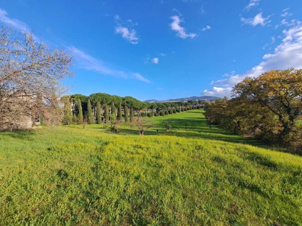 terreno edificabile in vendita a Frascati