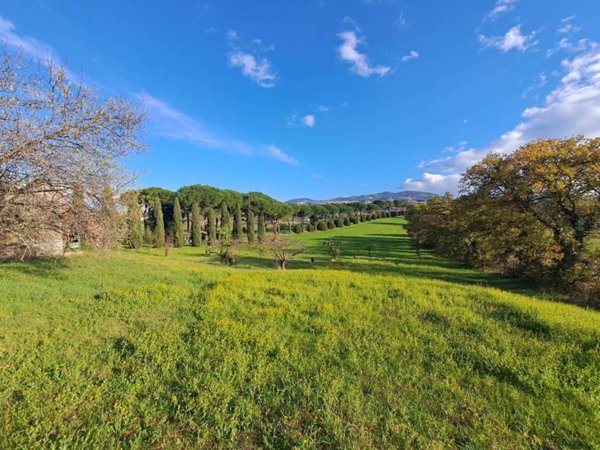 terreno agricolo in vendita a Frascati