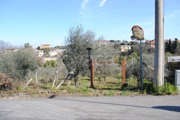 terreno agricolo in vendita a Frascati
