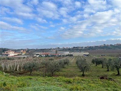 terreno agricolo in vendita a Frascati in zona Pantano Secco