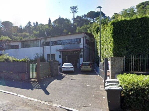 negozio in vendita a Frascati