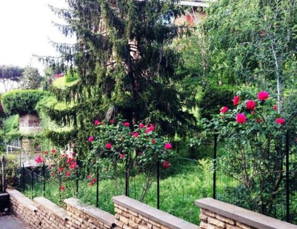 appartamento in vendita a Frascati