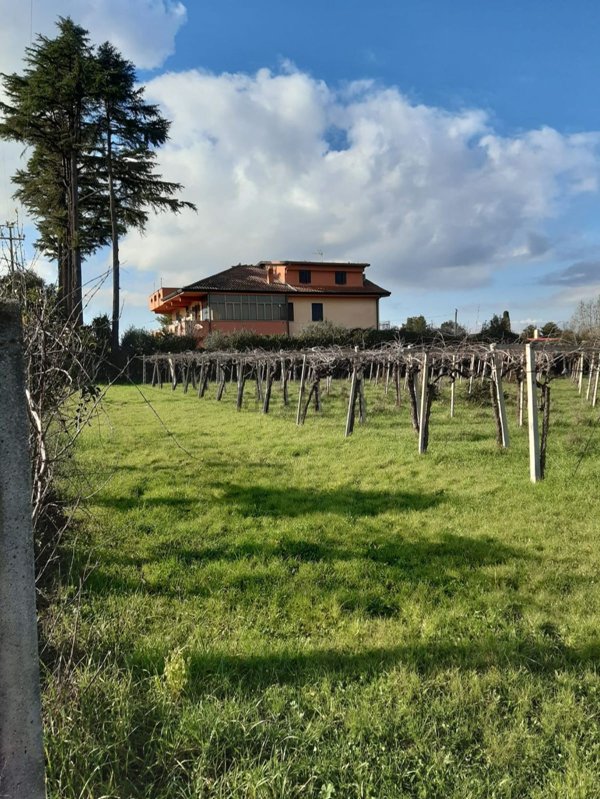terreno agricolo in vendita a Frascati