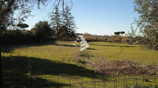 terreno agricolo in vendita a Frascati
