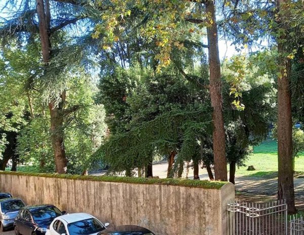 appartamento in vendita a Frascati