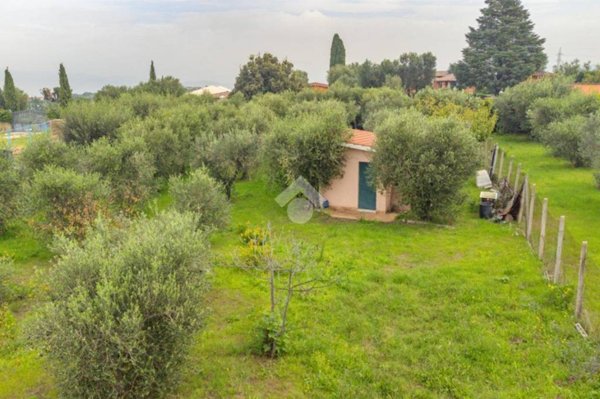 terreno agricolo in vendita a Frascati