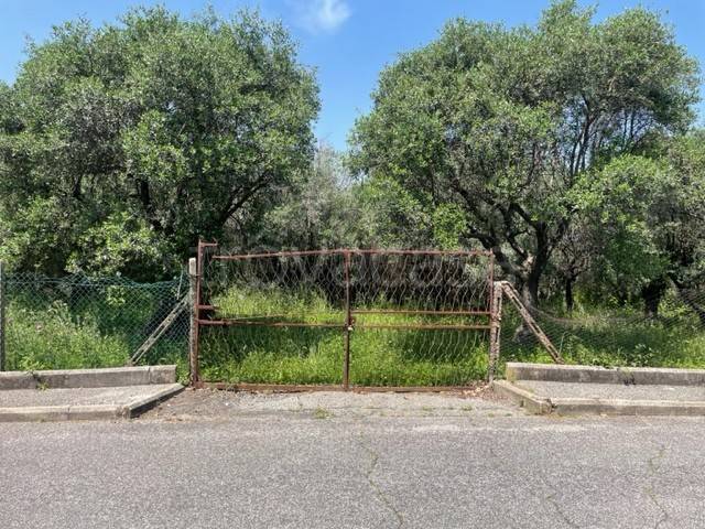 casa indipendente in vendita a Frascati