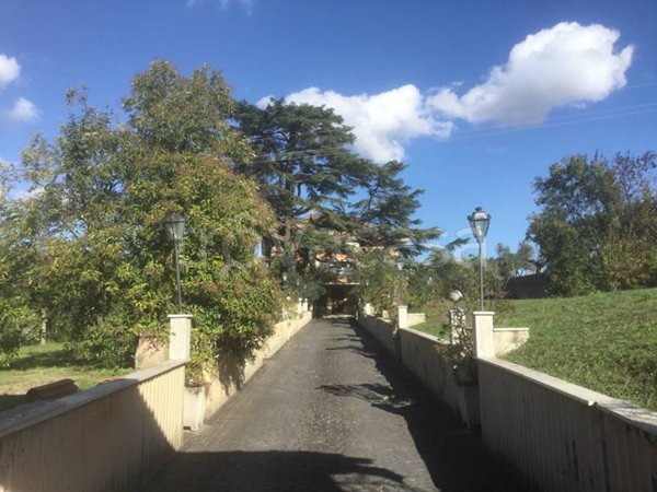 negozio in vendita a Frascati