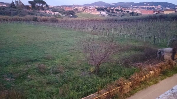 terreno agricolo in vendita a Frascati