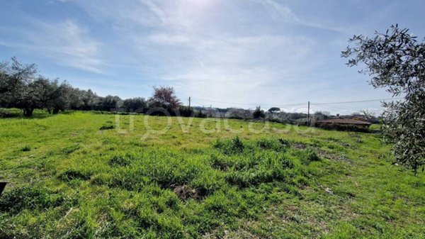 terreno agricolo in vendita a Frascati