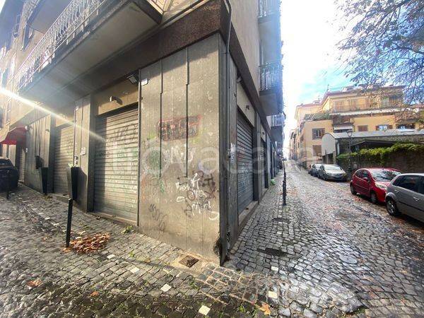 trivano in vendita a Frascati
