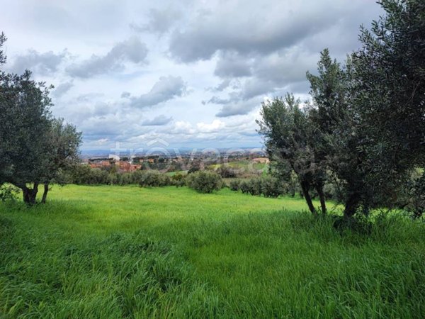 terreno agricolo in vendita a Frascati