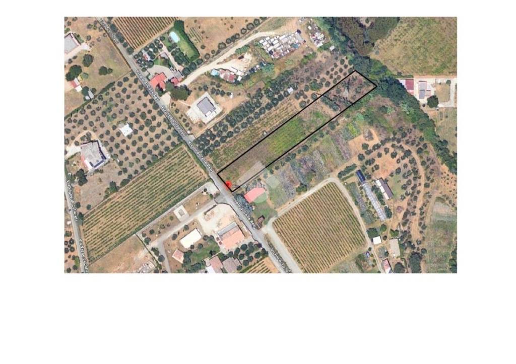 terreno agricolo in vendita a Frascati