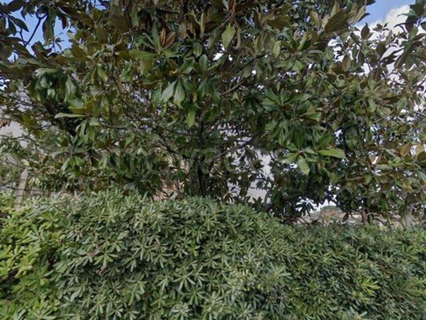 appartamento in vendita a Frascati