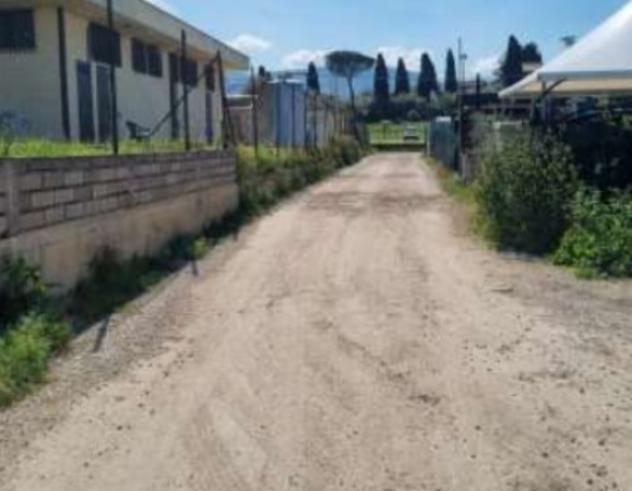 negozio in vendita a Frascati