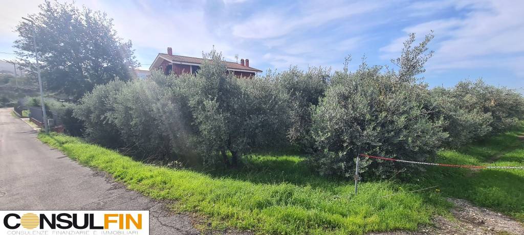 terreno agricolo in vendita a Frascati in zona Cisternole