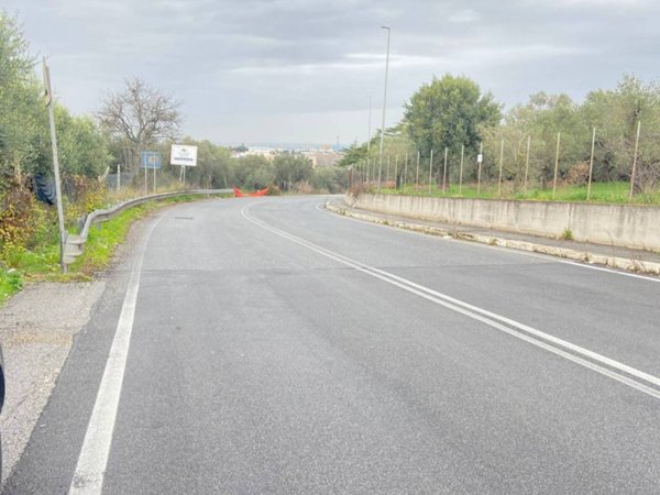 terreno agricolo in vendita a Frascati