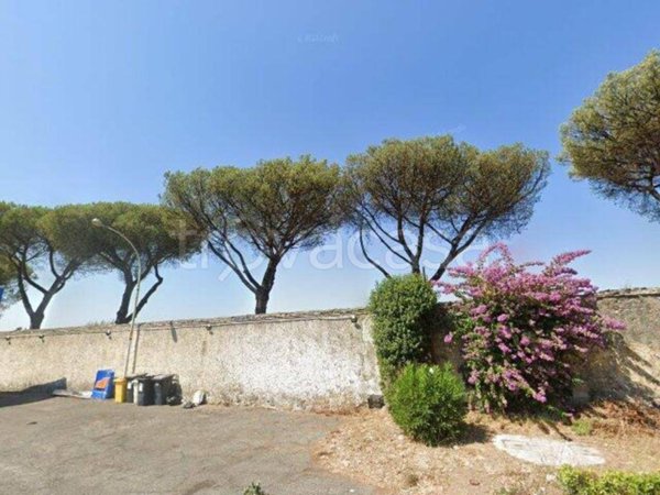 negozio in vendita a Frascati