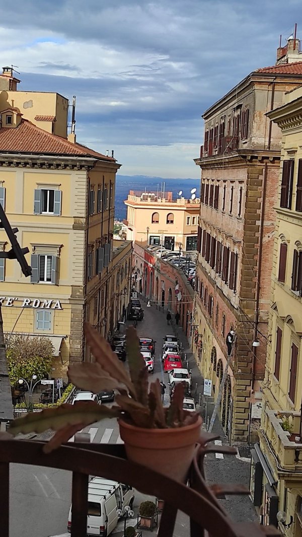 appartamento in vendita a Frascati