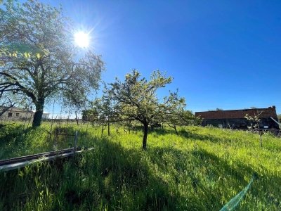 terreno agricolo in vendita a Frascati