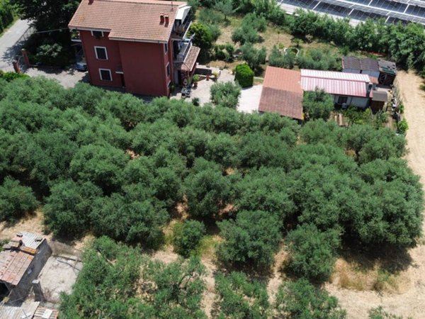 terreno agricolo in vendita a Frascati in zona Cisternole