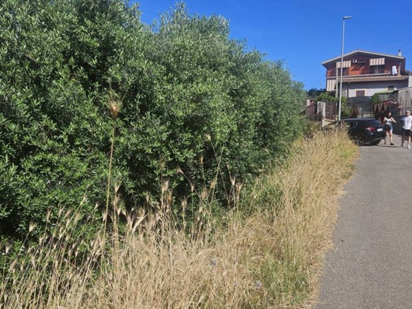 terreno agricolo in vendita a Frascati in zona Cisternole
