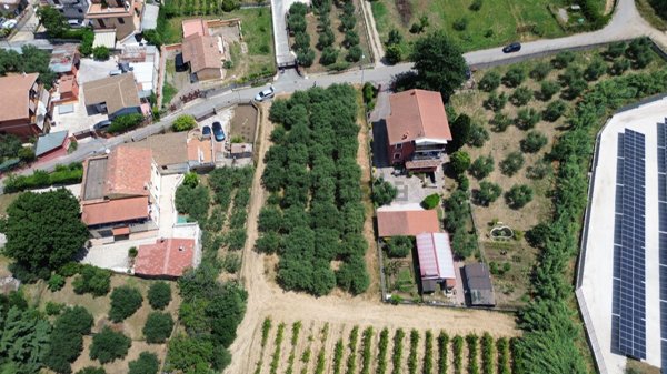 terreno agricolo in vendita a Frascati in zona Cisternole