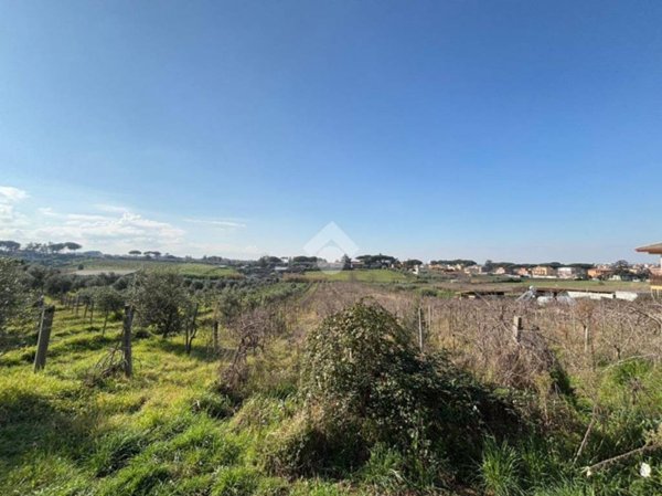 terreno agricolo in vendita a Frascati