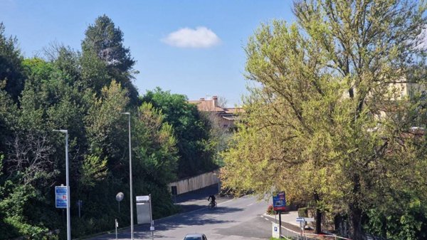 appartamento in vendita a Frascati