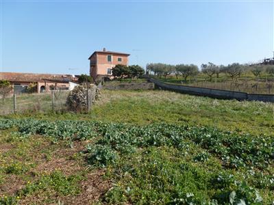 terreno agricolo in vendita a Frascati in zona Prataporci