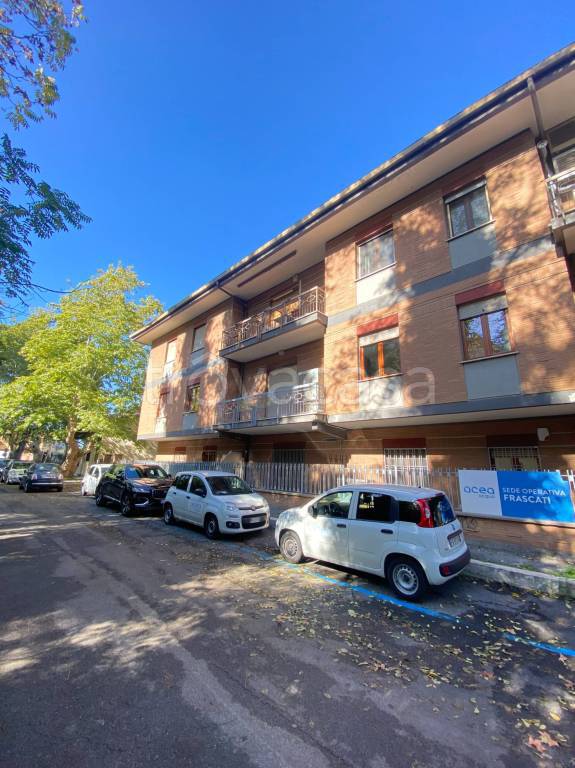 appartamento in vendita a Frascati