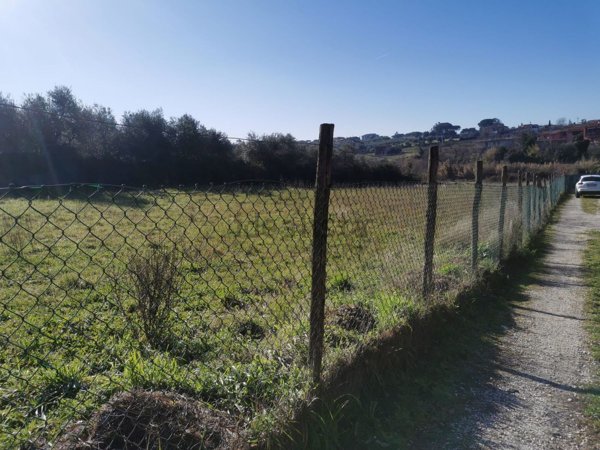 terreno agricolo in vendita a Frascati