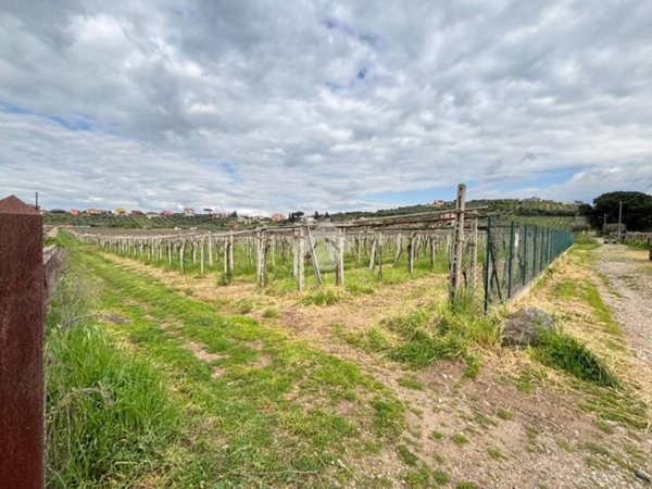terreno agricolo in vendita a Frascati in zona Pantano Secco