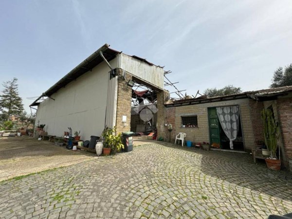 locale commerciale in vendita a Frascati